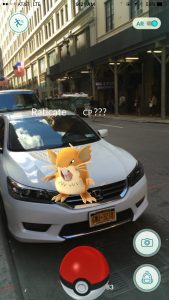 raticate pokemon in nyc